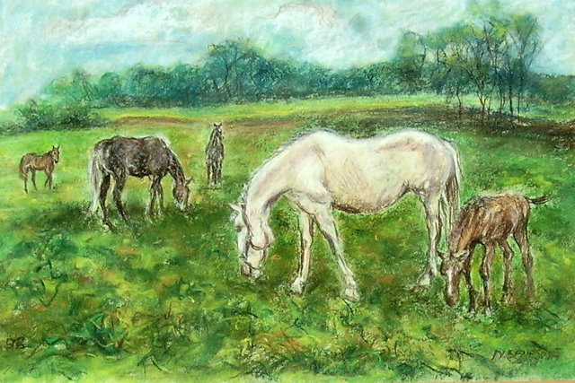 První pastva  2.200,-, 40x26