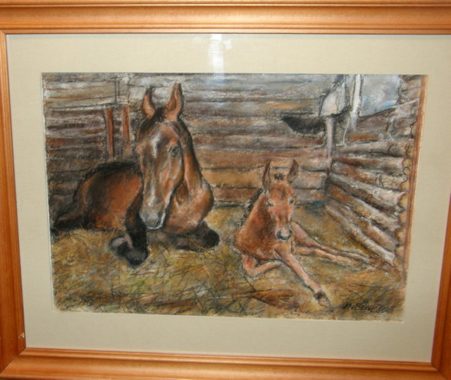 siesta  2.400,-, 40x28